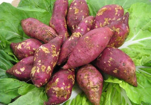 mơ thấy củ khoai
