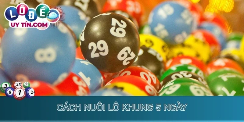 Cách nuôi lô khung 5 ngày hiệu quả nhất